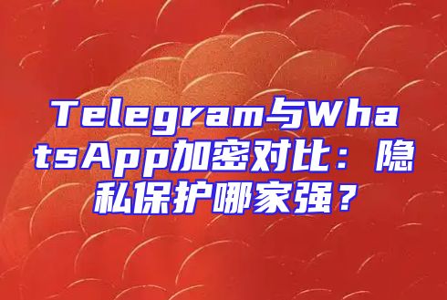 Telegram与WhatsApp加密对比：隐私保护哪家强？