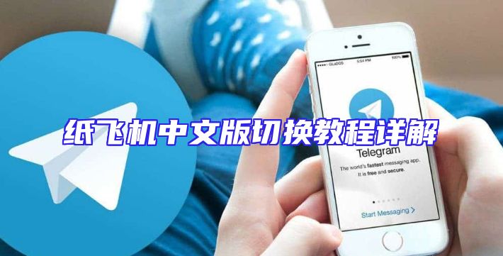纸飞机中文版切换教程详解