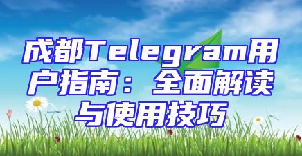 成都Telegram用户指南：全面解读与使用技巧