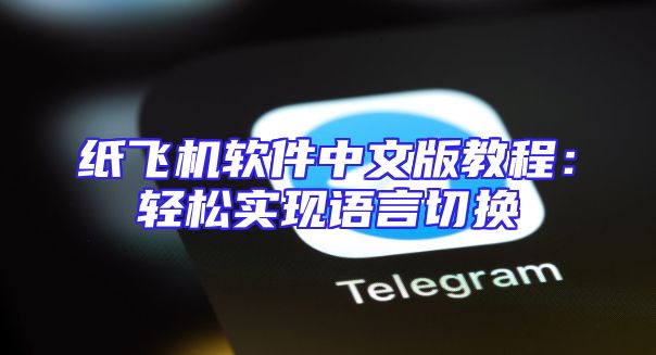 纸飞机软件中文版教程：轻松实现语言切换