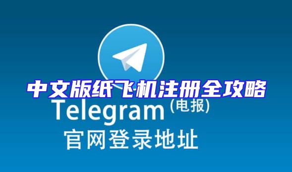 中文版纸飞机注册全攻略