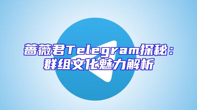 蔷薇君Telegram探秘：群组文化魅力解析