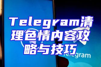 Telegram清理色情内容攻略与技巧