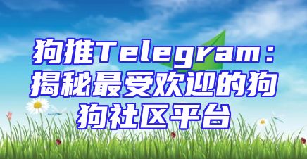 狗推Telegram：揭秘最受欢迎的狗狗社区平台