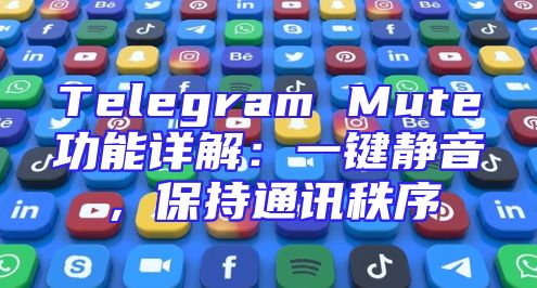 Telegram Mute功能详解：一键静音，保持通讯秩序