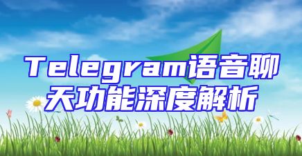 Telegram语音聊天功能深度解析
