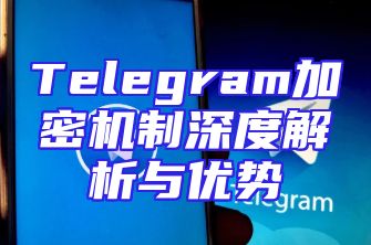 Telegram加密机制深度解析与优势