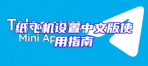 纸飞机设置中文版使用指南