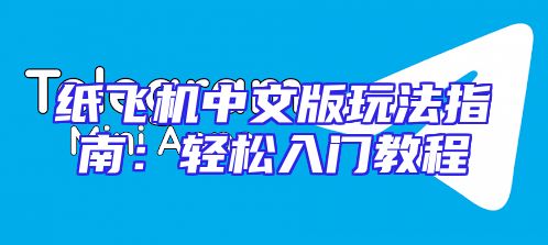 纸飞机中文版玩法指南：轻松入门教程