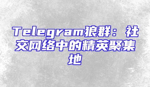 Telegram狼群：社交网络中的精英聚集地