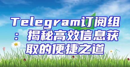 Telegram订阅组：揭秘高效信息获取的便捷之道