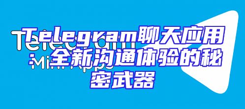 Telegram聊天应用：全新沟通体验的秘密武器