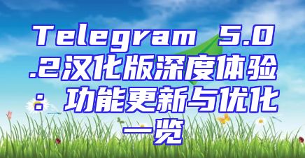 Telegram 5.0.2汉化版深度体验：功能更新与优化一览