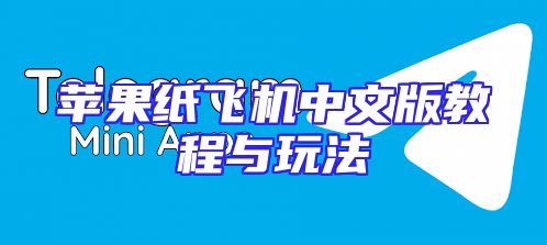 苹果纸飞机中文版教程与玩法