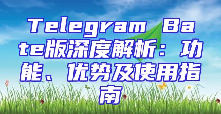 Telegram Bate版深度解析：功能、优势及使用指南