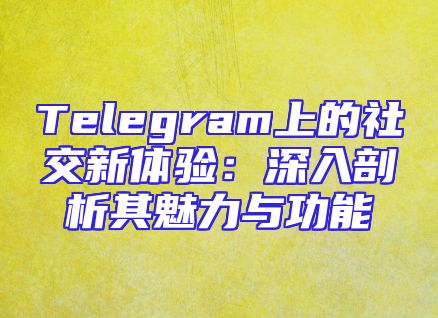 Telegram上的社交新体验：深入剖析其魅力与功能