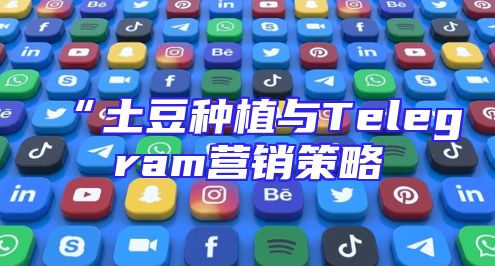 “土豆种植与Telegram营销策略