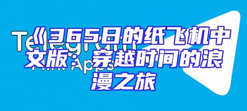 《365日的纸飞机中文版：穿越时间的浪漫之旅