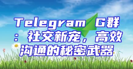 Telegram G群：社交新宠，高效沟通的秘密武器