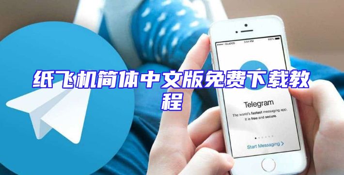 纸飞机简体中文版免费下载教程