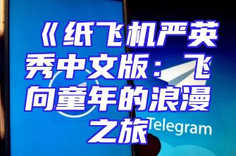 《纸飞机严英秀中文版：飞向童年的浪漫之旅