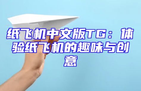 纸飞机中文版TG：体验纸飞机的趣味与创意