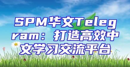 SPM华文Telegram：打造高效中文学习交流平台