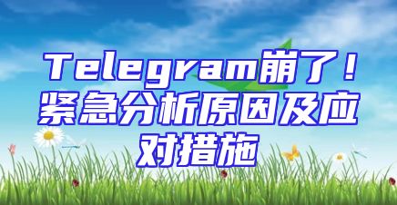 Telegram崩了！紧急分析原因及应对措施