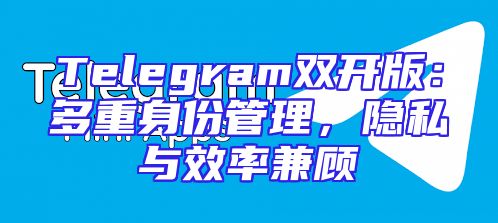 Telegram双开版：多重身份管理，隐私与效率兼顾
