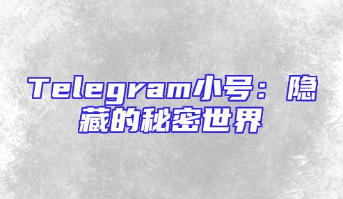 Telegram小号：隐藏的秘密世界