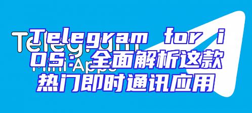 Telegram for iOS：全面解析这款热门即时通讯应用