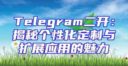 Telegram二开：揭秘个性化定制与扩展应用的魅力