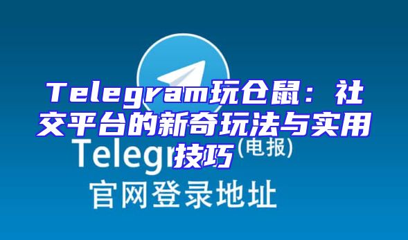 Telegram玩仓鼠：社交平台的新奇玩法与实用技巧