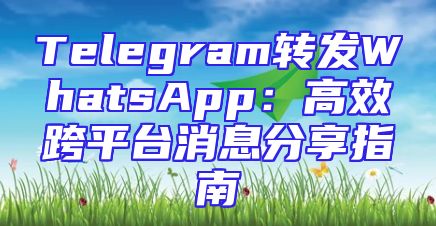 Telegram转发WhatsApp：高效跨平台消息分享指南