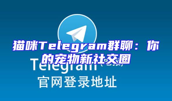 猫咪Telegram群聊：你的宠物新社交圈