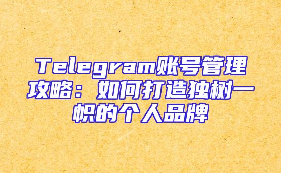 Telegram账号管理攻略：如何打造独树一帜的个人品牌
