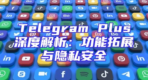 Telegram Plus深度解析：功能拓展与隐私安全