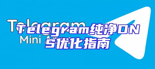 Telegram纯净DNS优化指南