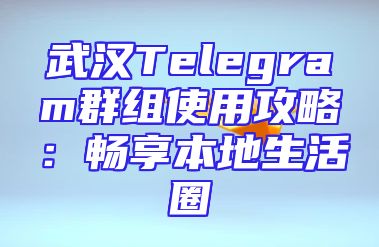 武汉Telegram群组使用攻略：畅享本地生活圈