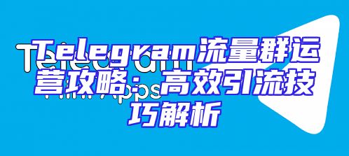 Telegram流量群运营攻略：高效引流技巧解析