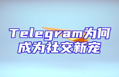 Telegram为何成为社交新宠