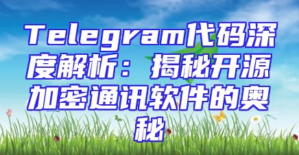 Telegram代码深度解析：揭秘开源加密通讯软件的奥秘