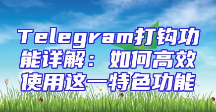 Telegram打钩功能详解：如何高效使用这一特色功能