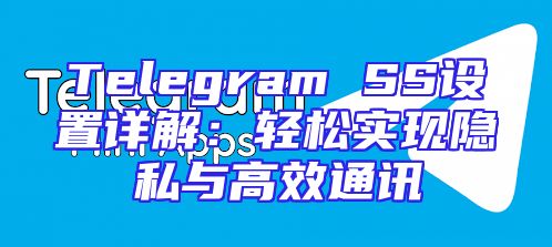 Telegram SS设置详解：轻松实现隐私与高效通讯