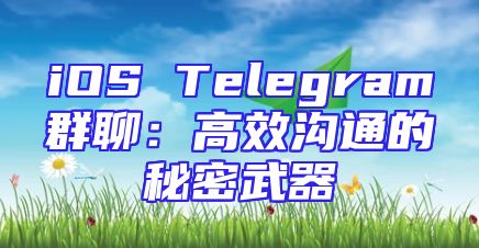 iOS Telegram群聊：高效沟通的秘密武器