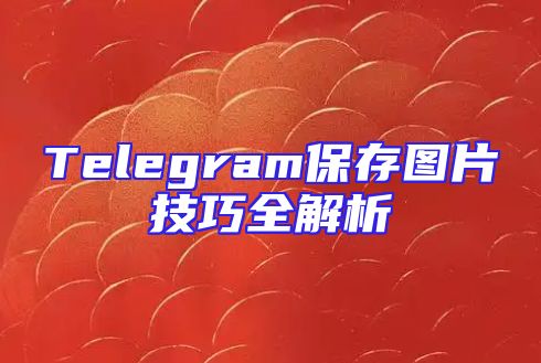 Telegram保存图片技巧全解析