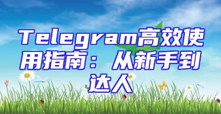 Telegram高效使用指南：从新手到达人
