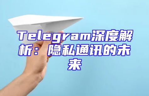 Telegram深度解析：隐私通讯的未来