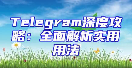Telegram深度攻略：全面解析实用用法