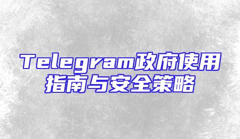 Telegram政府使用指南与安全策略
